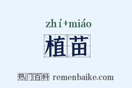 植苗是什么意思的图片